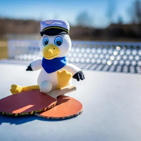 Lagovida Kapitänskajüte E Am Störmthaler